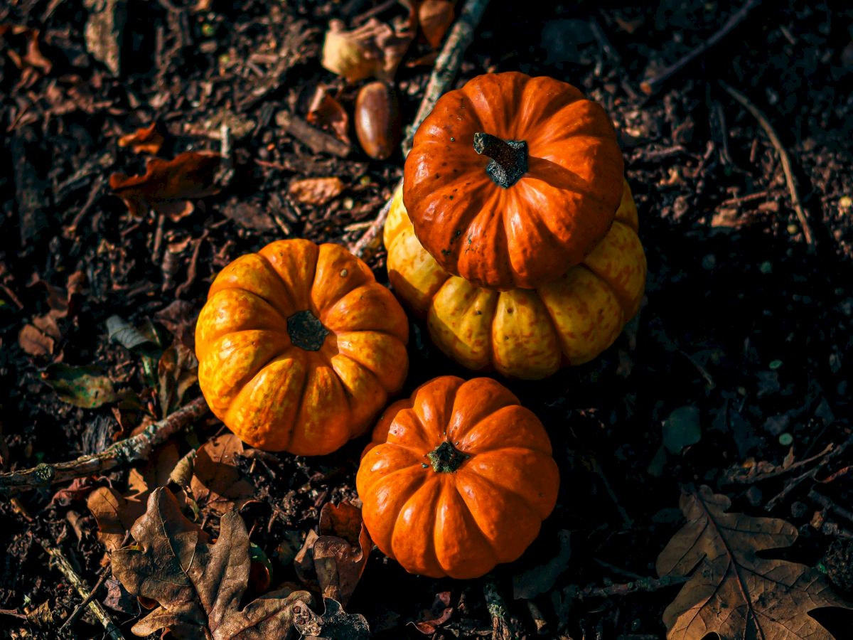 Everline Resort and Spa