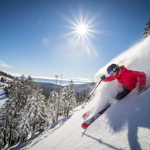 A skier in a red jacket carves through fresh powder on a snowy slope, surrounded by trees, under a bright sun and clear sky.