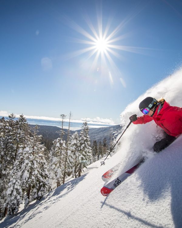 A skier in a red jacket carves through fresh powder on a snowy slope, surrounded by trees, under a bright sun and clear sky.