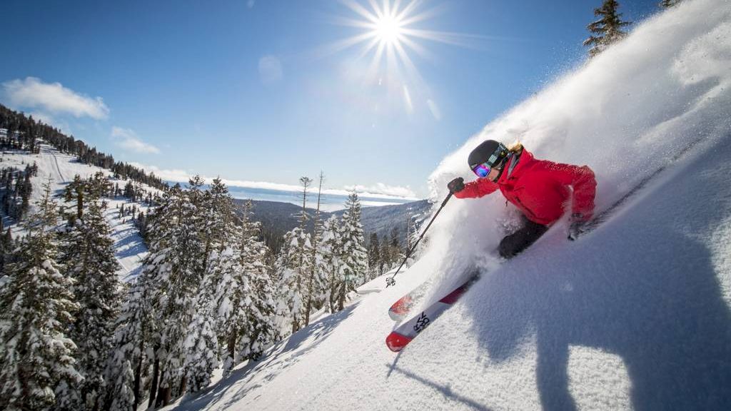 A person in red skiing down a snowy slope with pine trees and a bright sun in the background.