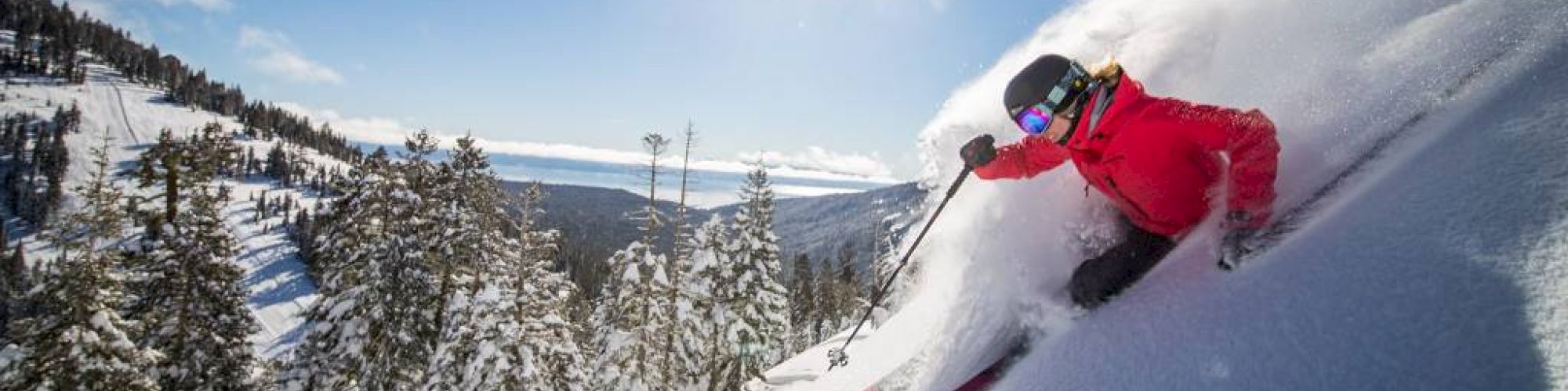 A person in red skiing down a snowy slope with pine trees and a bright sun in the background.