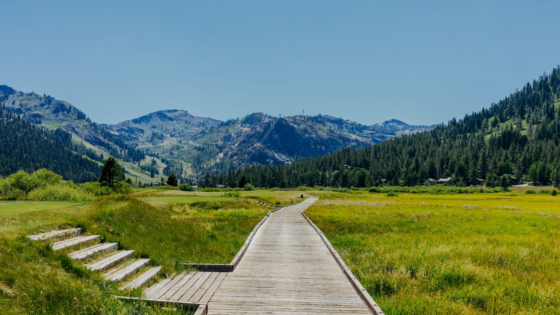 A wooden walkway extends through a grassy meadow, flanked by steps, leading towards forested mountains under a clear blue sky.