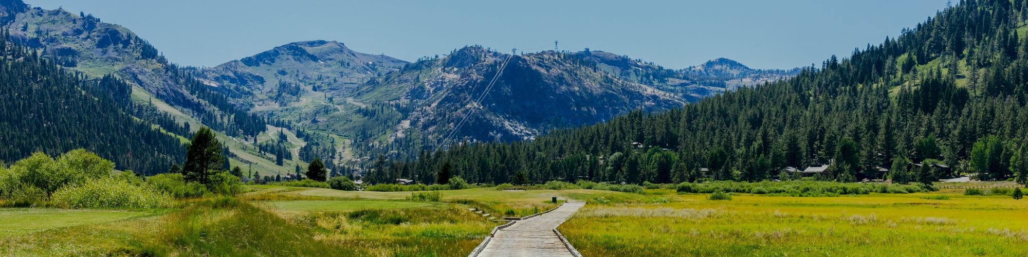 A wooden walkway extends through a grassy meadow, flanked by steps, leading towards forested mountains under a clear blue sky.