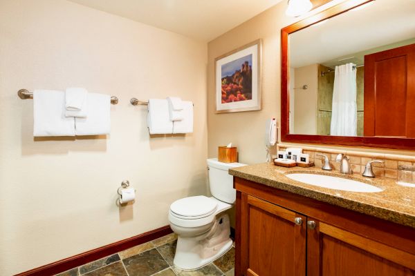 A clean bathroom with a toilet, towels, a sink with a countertop, mirror, and artwork on the wall, featuring warm wood accents.