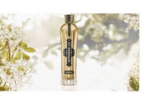 A bottle of perfume or fragrance stands upright against a light, floral background, framed by soft white flowers and greenery, sunlit.