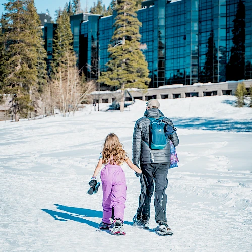 Two people, a child and an adult, walk hand-in-hand through a snowy path near a modern glass building, with pine trees and blue skies overhead.