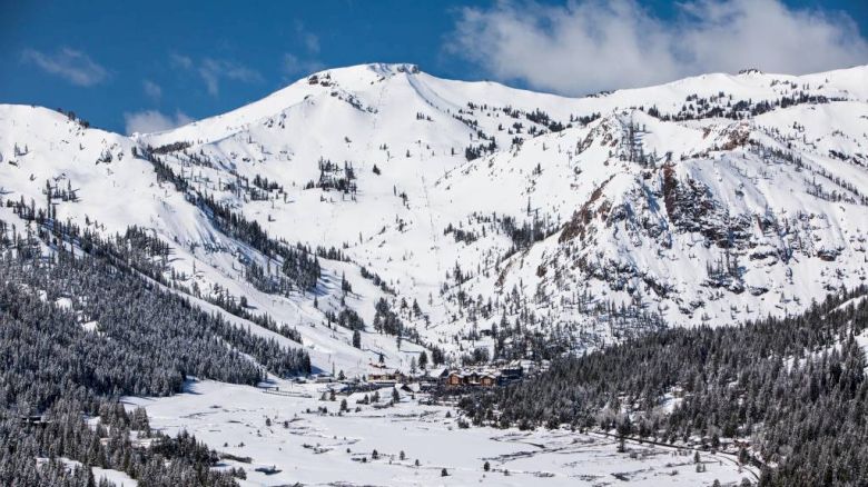 Snow-covered mountains with a clear blue sky in the background and a snowy valley with scattered trees in the foreground.