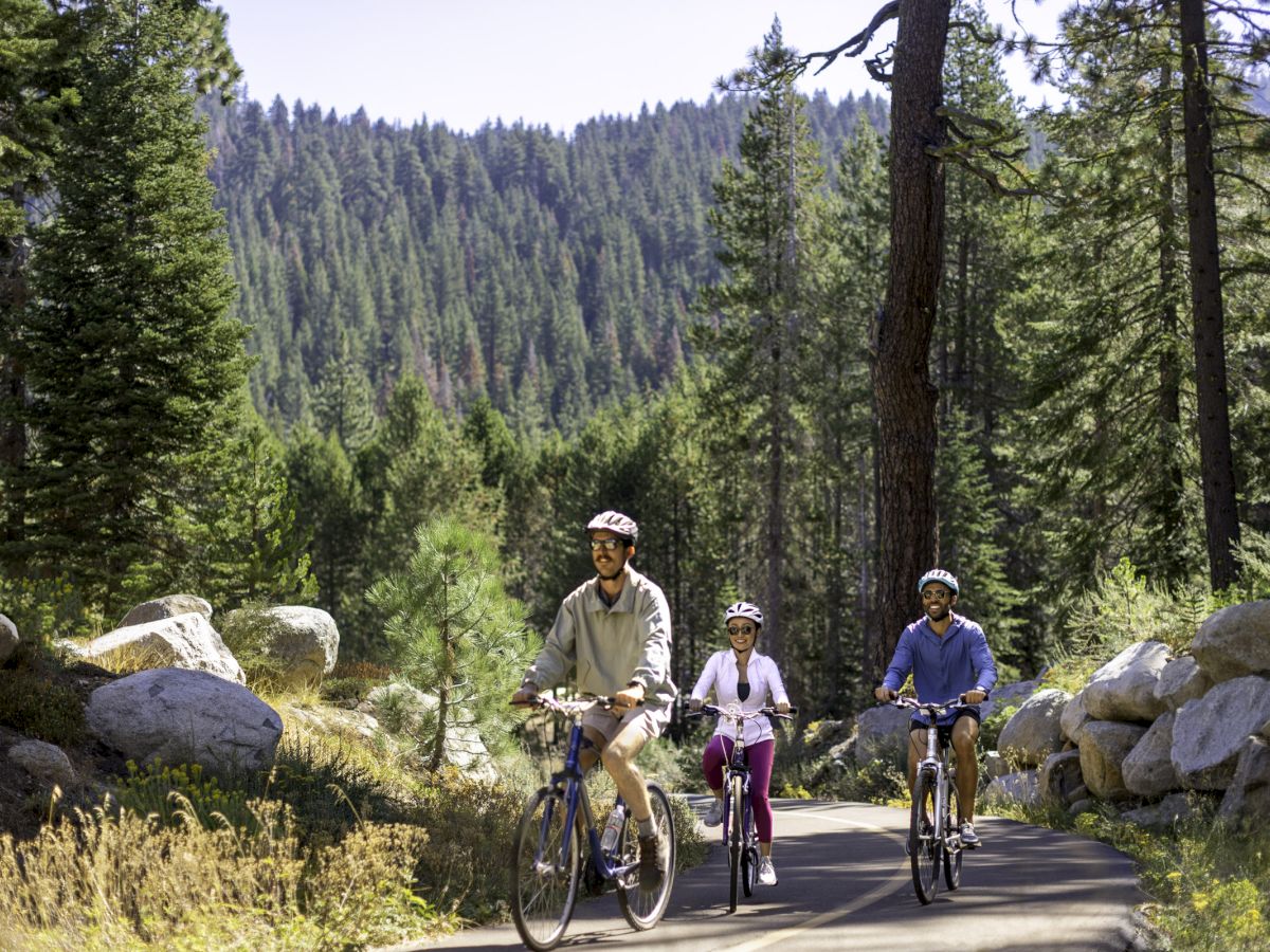 Three people are riding bicycles on a forested trail, surrounded by tall trees and large rocks, under a clear sky.