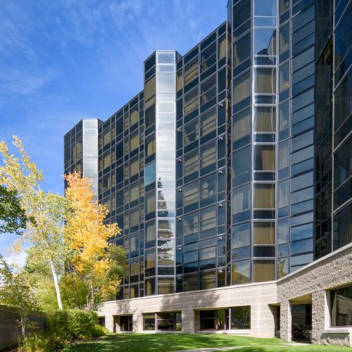 A sunny view of a modern glass office building with trees and a landscaped walkway in front.