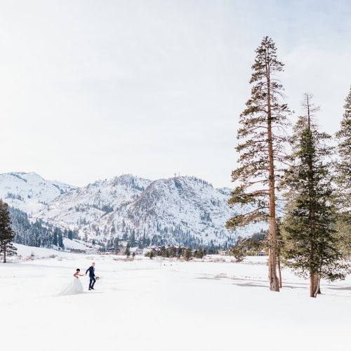 A snowy mountain landscape with tall pine trees and a couple in wedding attire gliding across fresh white snow.