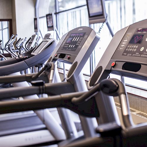 A row of treadmills is positioned in a gym with large windows, allowing natural light to fill the space.