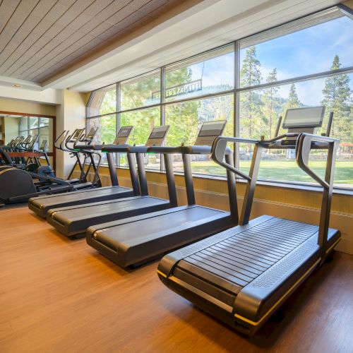 A bright indoor fitness room with multiple treadmills and large windows overlooking a green outdoor field.