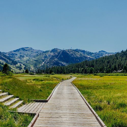 A wooden boardwalk stretches into a scenic valley surrounded by lush green grass and mountains under a clear blue sky.