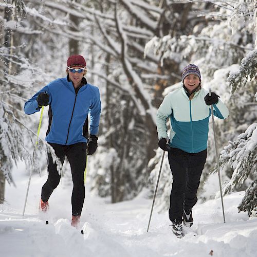 Two people are cross-country skiing on a snow-covered trail surrounded by trees in a winter landscape, each wearing winter sports clothes.