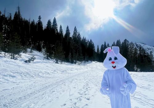 Someone dressed in a white bunny costume snowboarding along a snowy trail with a forested backdrop under a bright sun, enjoying winter fun.
