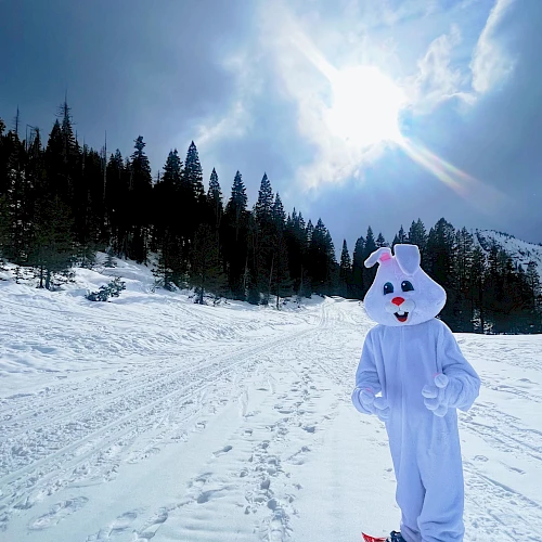 Someone dressed in a white bunny costume snowboarding along a snowy trail with a forested backdrop under a bright sun, enjoying winter fun.