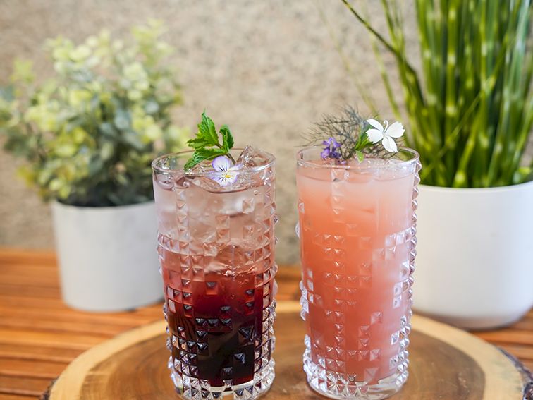 Two fancy cocktails on a wooden tray with ice, mint, and edible flowers; purple-to-pink gradient drinks, stylish textured glasses, potted plants in the background.