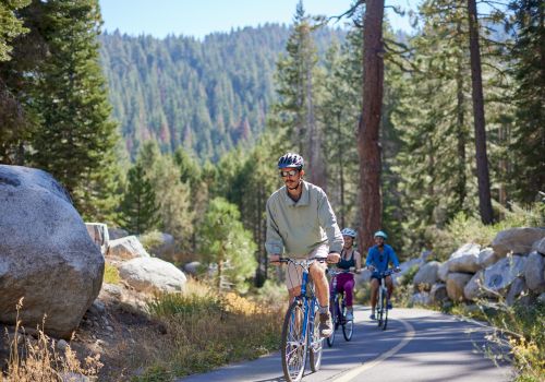 Three people are riding bicycles on a forested path surrounded by trees and large rocks in the background.