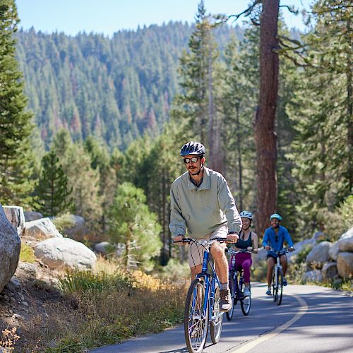 Three people are riding bicycles on a forested path surrounded by trees and large rocks in the background.