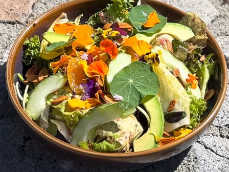 A bowl of mixed greens salad topped with edible flowers and avocado on a stone surface.