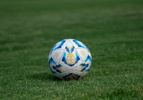 A soccer ball with Argentina markings resting on a green field of grass.