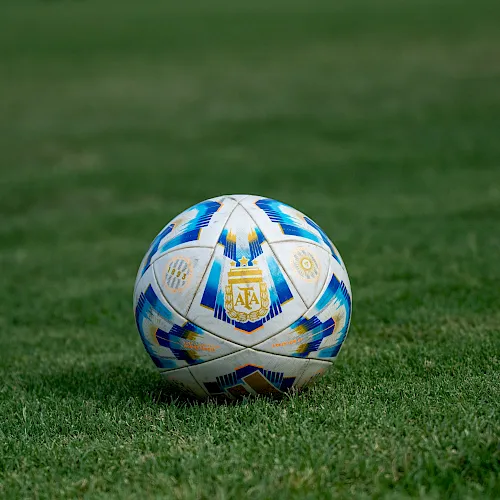 A soccer ball with Argentina markings resting on a green field of grass.