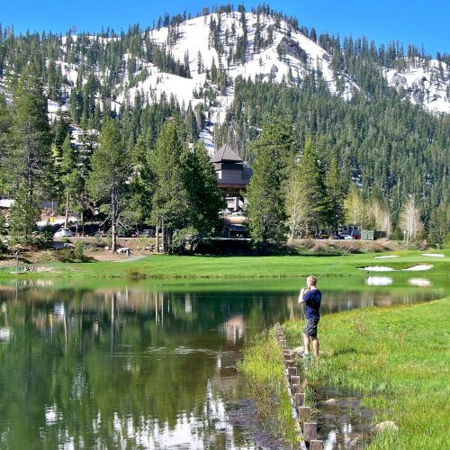 A person stands by a lakeside with a backdrop of snow-capped mountains and a forested area, captured on a clear, sunny day.