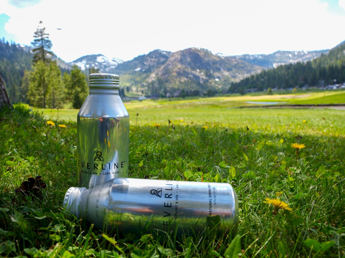 Two silver water bottles are on a grassy field with mountains in the background. Flowers and tall trees enhance the natural scenery.