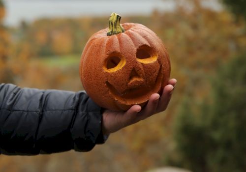 A hand holds a carved orange jack-o&rsquo;-lantern pumpkin with spooky cutouts for eyes and a nose in an outdoor setting.