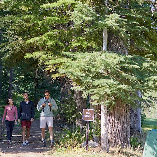 Three hikers walking on a forest trail under tall trees; a signpost nearby and a grassy clearing to the right.