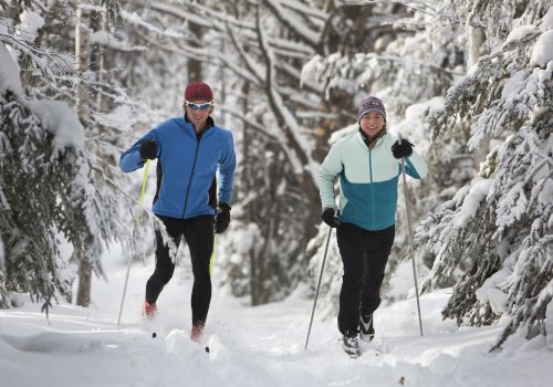 Two people are cross-country skiing on a snowy trail through a forest, surrounded by snow-covered trees.