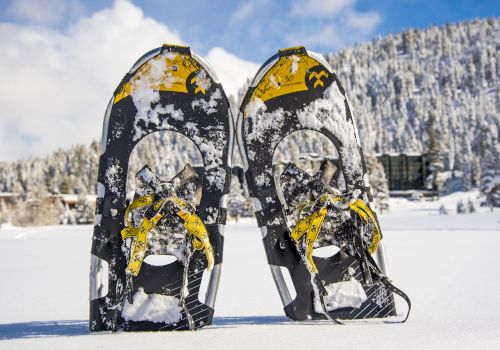 The image shows two snowshoes covered in snow, standing upright in a snowy landscape with trees and a cloudy sky in the background.