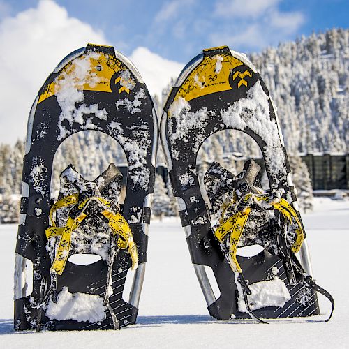 The image shows two snowshoes covered in snow, standing upright in a snowy landscape with trees and a cloudy sky in the background.