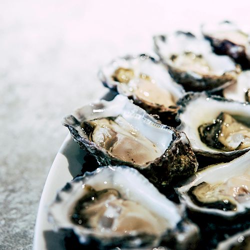 A plate of raw oysters on the half shell is arranged, ready to be served.