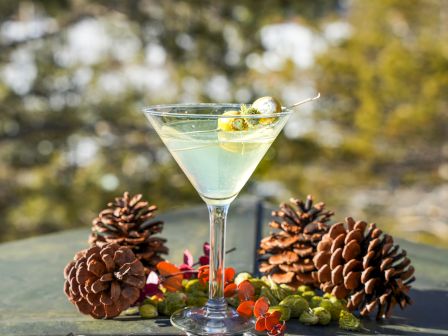 A cocktail in a martini glass is surrounded by pine cones and colorful berries on a greenery backdrop outdoors.