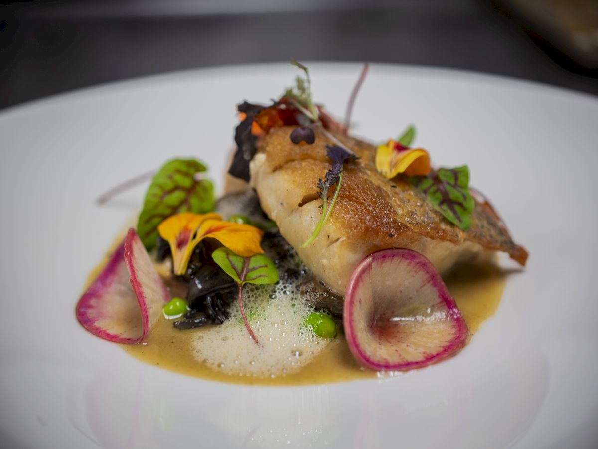 A gourmet dish featuring seared fish, vibrant microgreens, colorful radish slices, and a light foam sauce on a white plate.