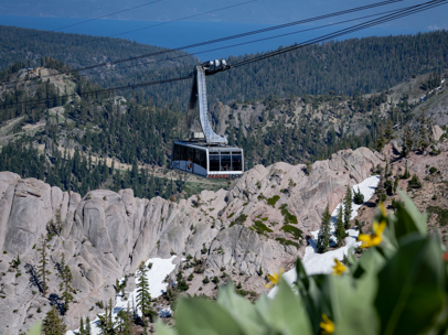 A cable car travels over rocky terrain with a mountainous backdrop and patches of snow, surrounded by greenery and yellow flowers.