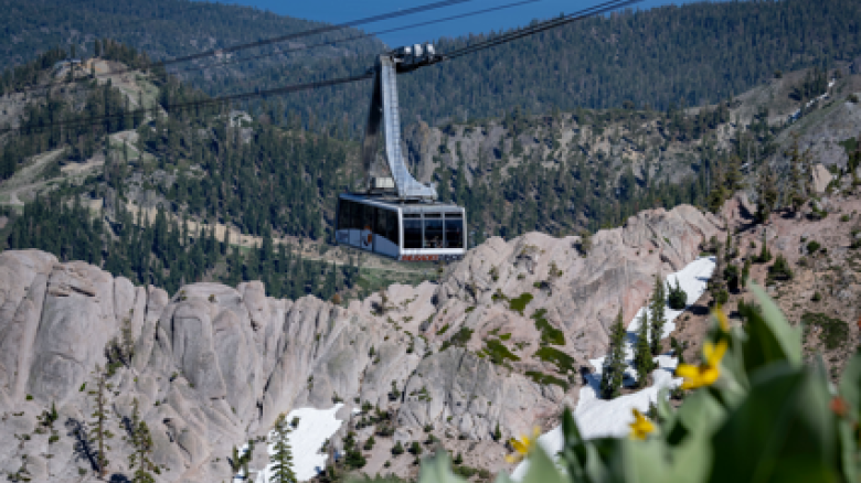A cable car travels over rocky terrain with a mountainous backdrop and patches of snow, surrounded by greenery and yellow flowers.