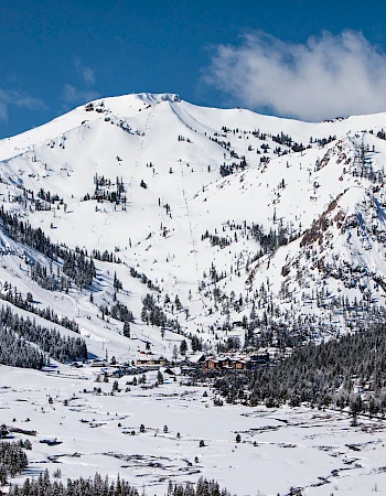 Snowy mountain valley with pine forests, rugged peaks, and scattered trees under a blue sky, a pristine winter landscape.