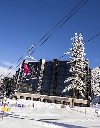 A snowy ski resort with a modern black building, lift cables overhead, and tall snow-covered pine trees against a clear blue sky.