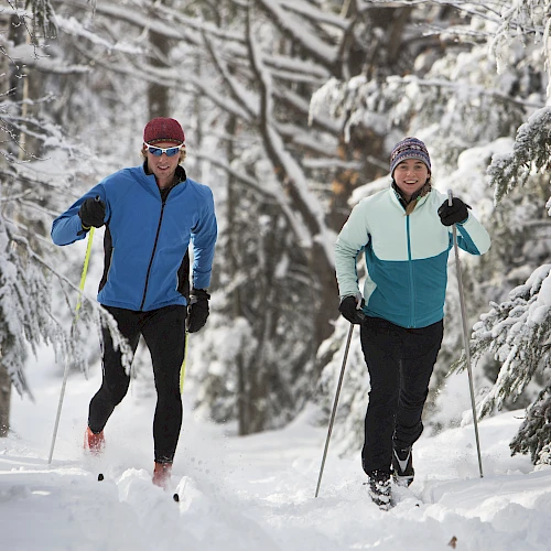 Two people cross-country skiing through a snow-covered forest, wearing colorful jackets and hats, gliding with poles in deep powder.